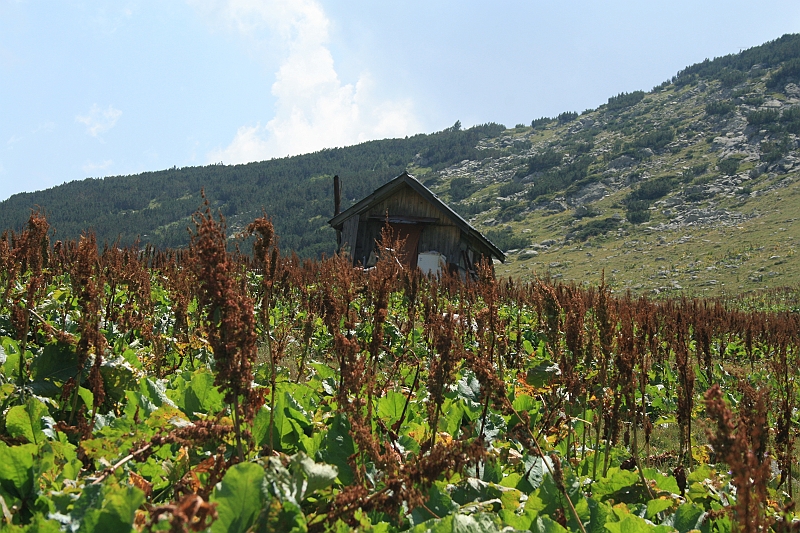 Bulgaria 2008 391